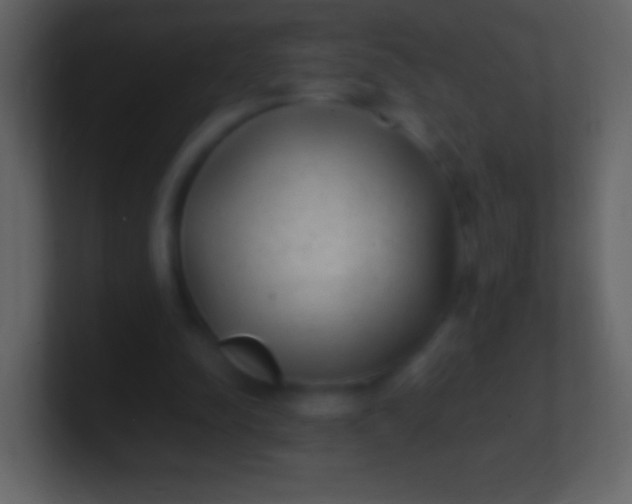 X0000100940342200807081239