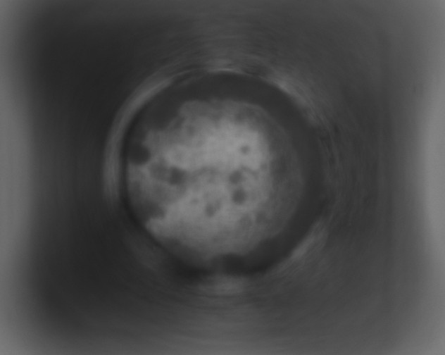 X0000100940343200807081239