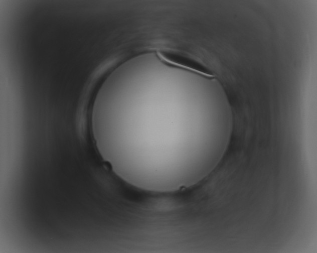 X0000100940344200807081239