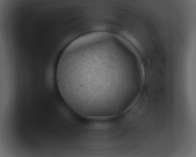 X0000100940346200807081239