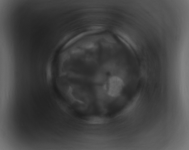 X0000100940347200807081239