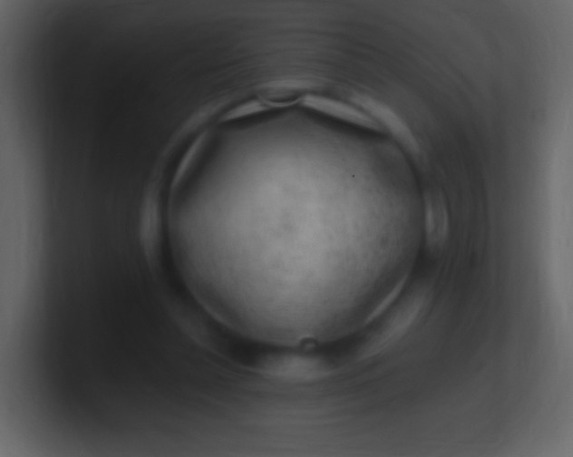 X0000100940348200807081239