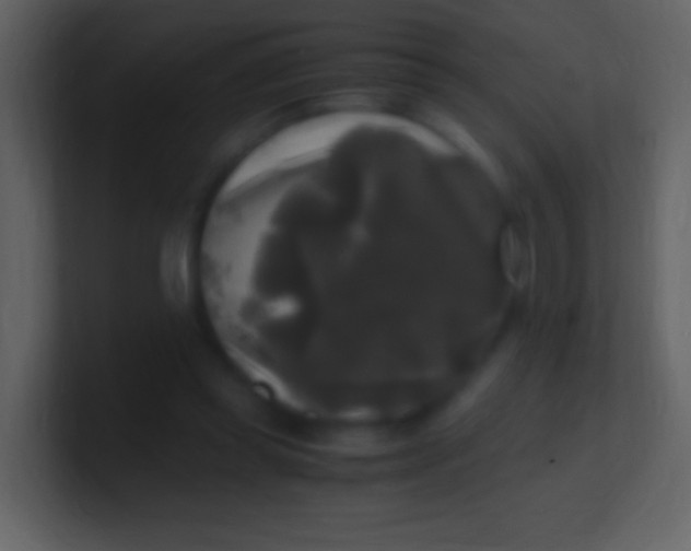 X0000100940349200807081239