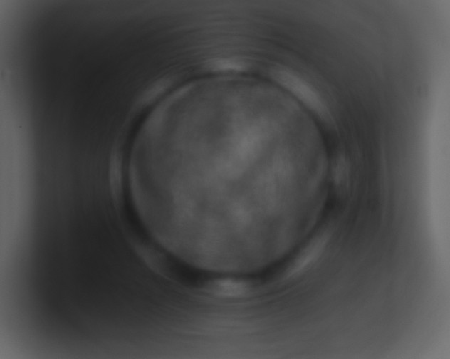 X0000100940352200807081240