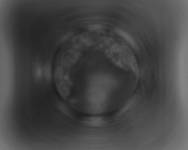 X0000100940353200807081240