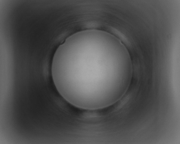 X0000100940354200807081240