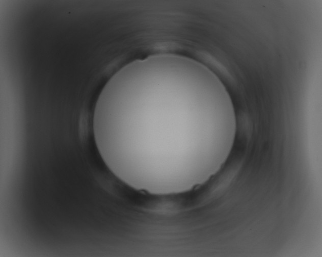 X0000100940356200807081240