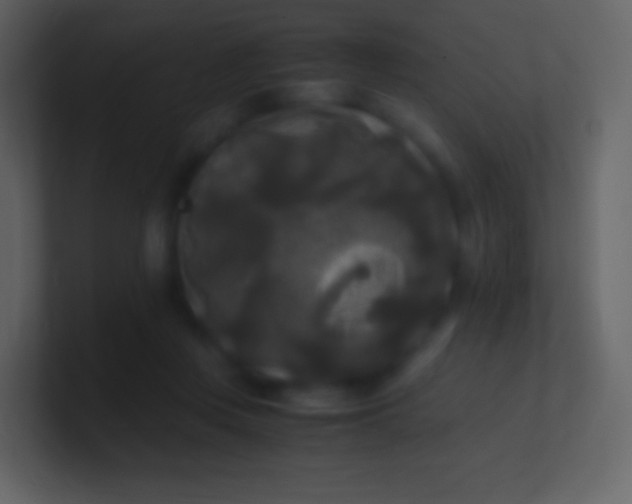 X0000100940359200807081240