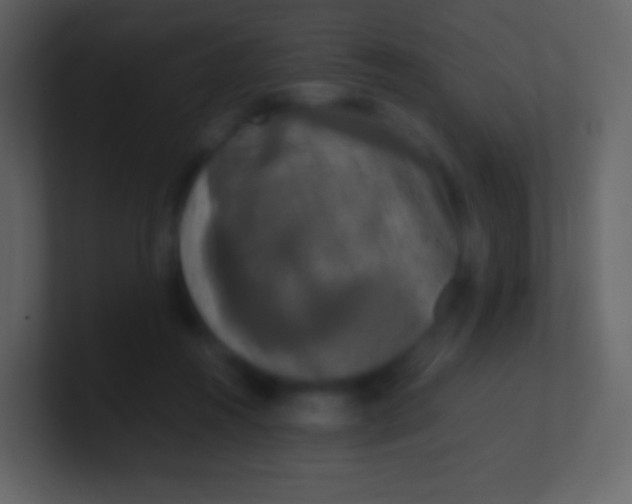 X0000100940360200807081240