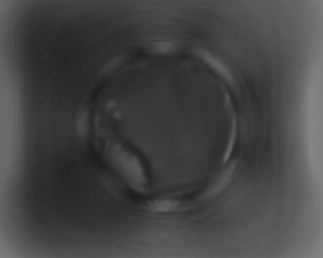 X0000100940361200807081240