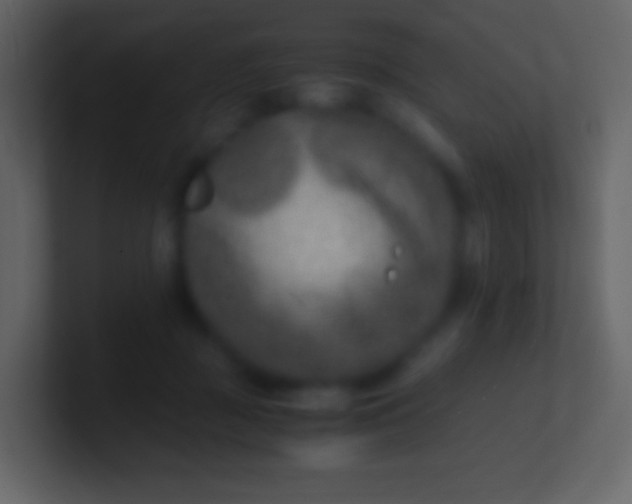 X0000100940363200807081240