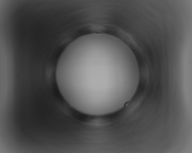 X0000100940364200807081240