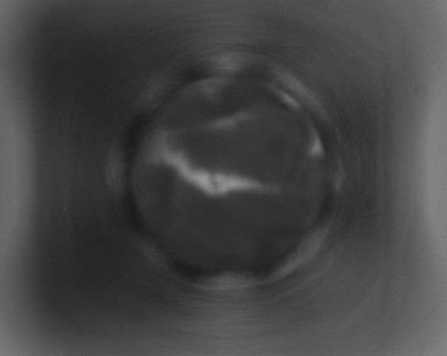 X0000100940366200807081240