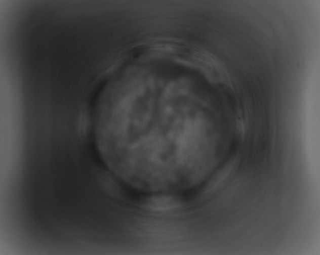 X0000100940367200807081240