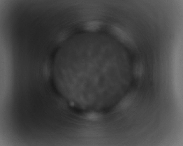 X0000100940370200807081240