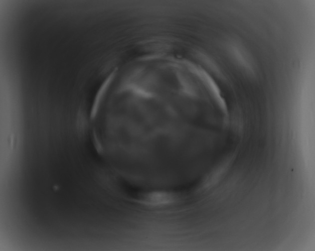 X0000100940371200807081240