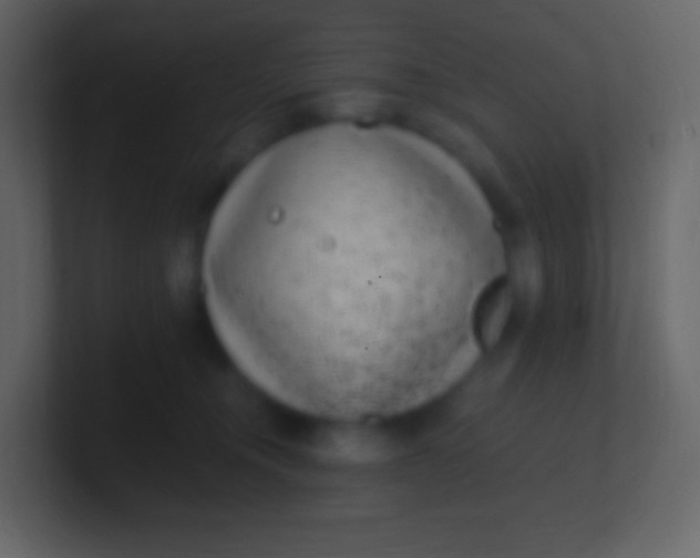 X0000100940372200807081240