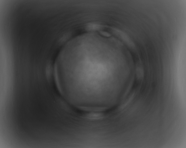 X0000100940375200807081240