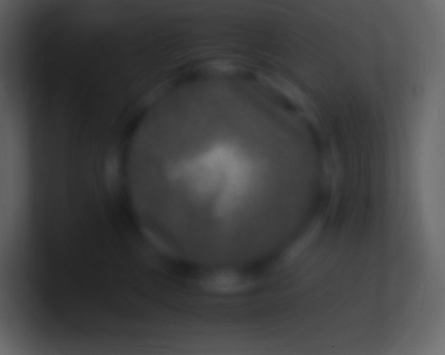 X0000100940377200807081240