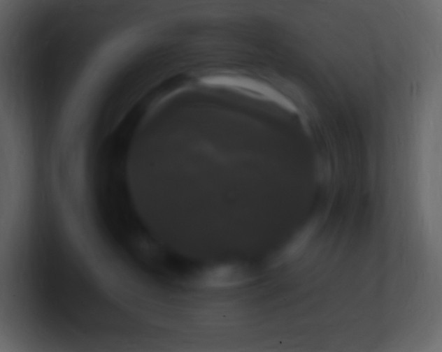 X0000100940382200807081240