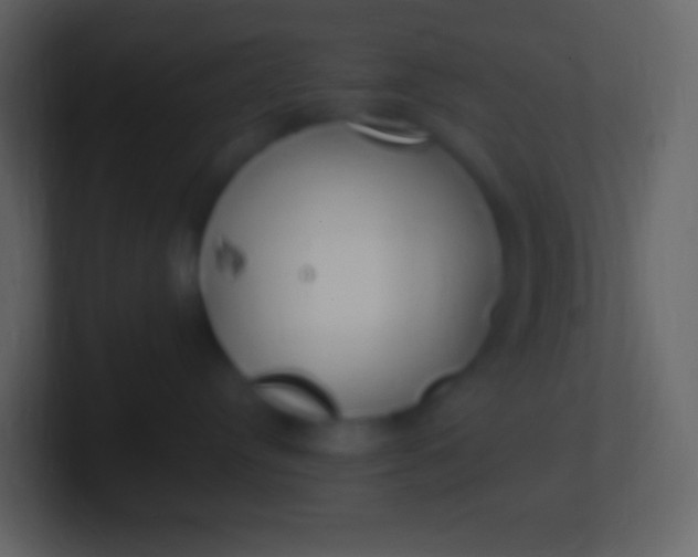 X0000100940384200807081240