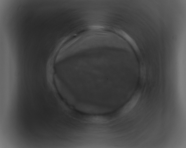 X0000100940385200807081239