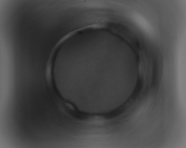 X0000100940387200807081239