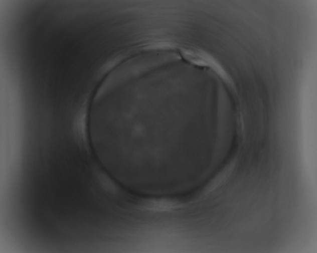 X0000100940389200807081239