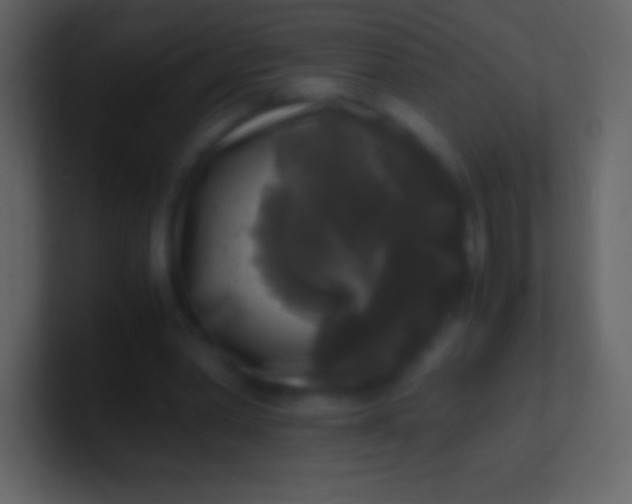 X0000100940390200807081239