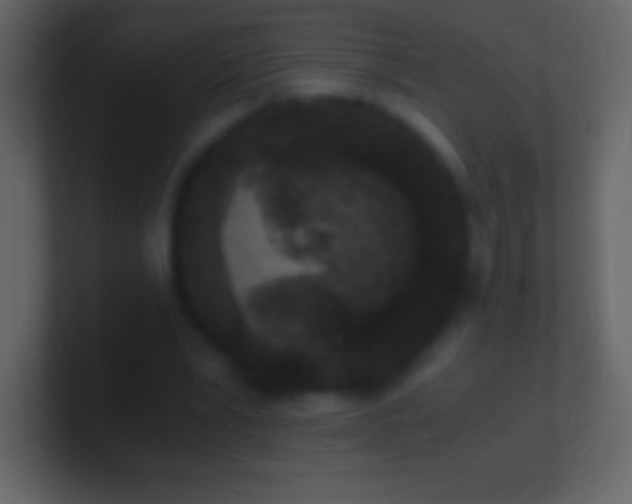 X0000100940391200807081239