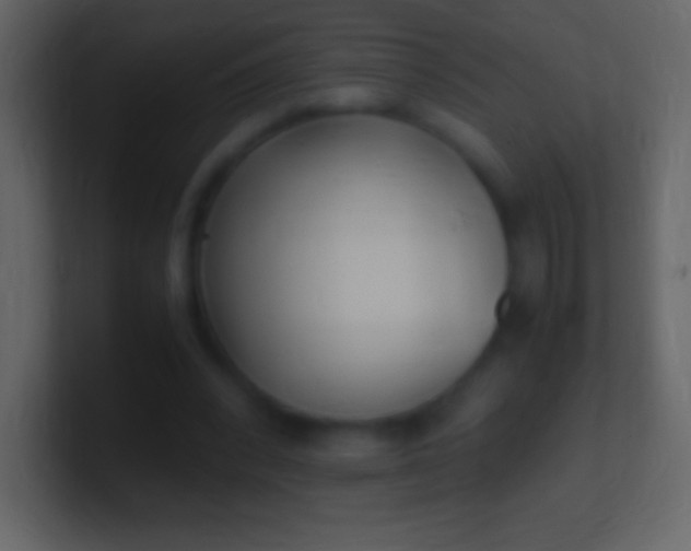 X0000100940392200807081239