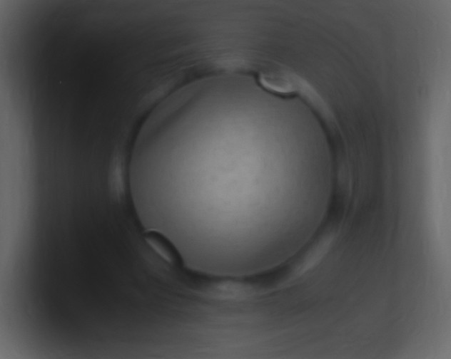 X0000100940393200807081239