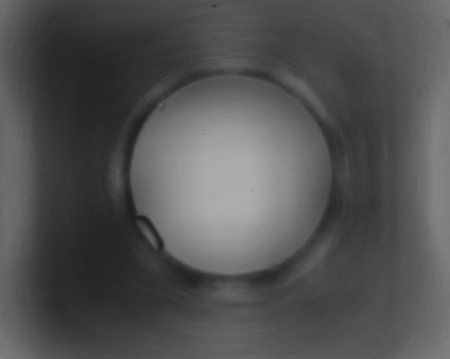 X0000100940395200807081239