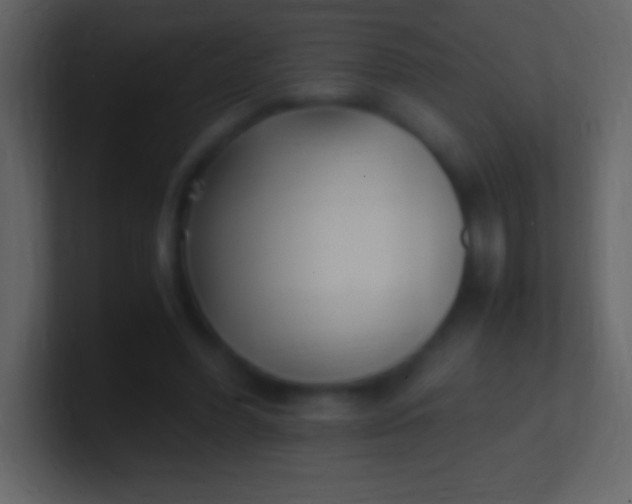 X0000100940396200807081239