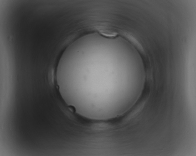 X0000100940397200807081239