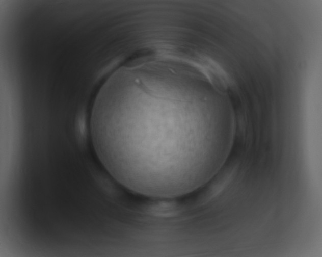 X0000100940398200807081239