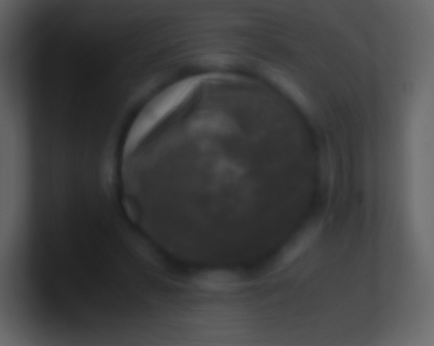 X0000100940399200807081239