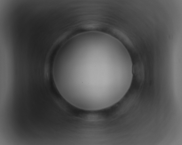 X0000100940400200807081239