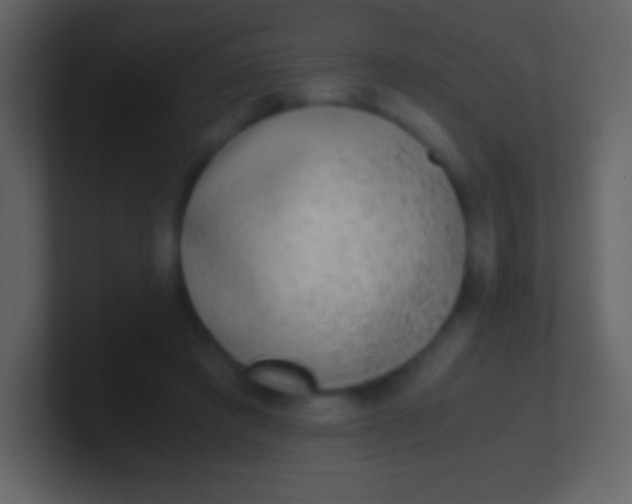 X0000100940401200807081239