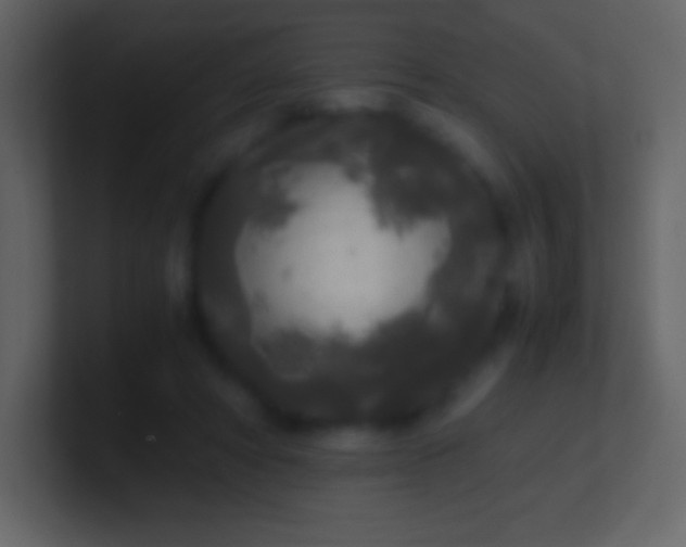 X0000100940402200807081239