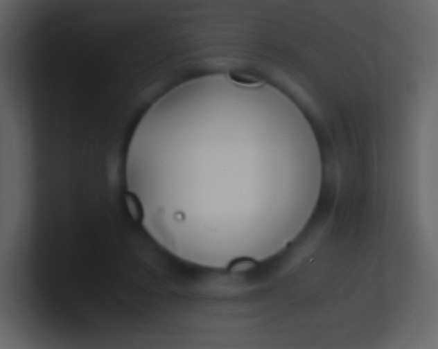 X0000100940403200807081239