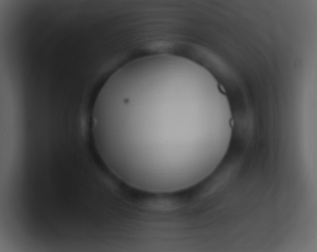 X0000100940404200807081239