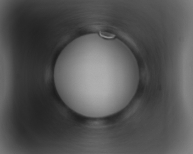 X0000100940407200807081239