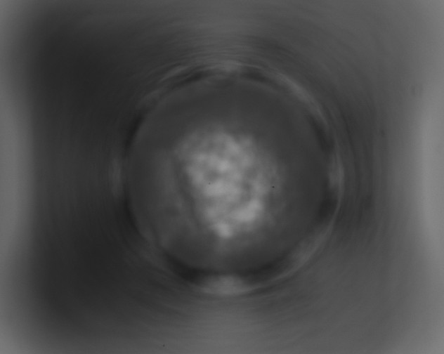 X0000100940409200807081239