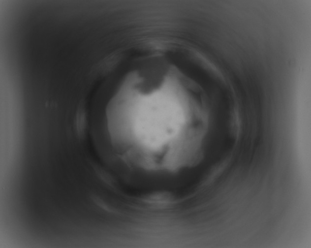 X0000100940410200807081239