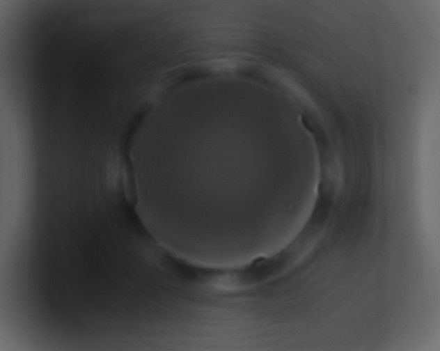 X0000100940411200807081239