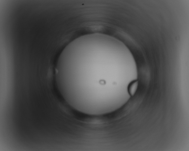 X0000100940412200807081239