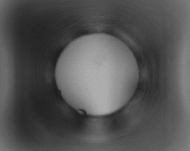 X0000100940414200807081239