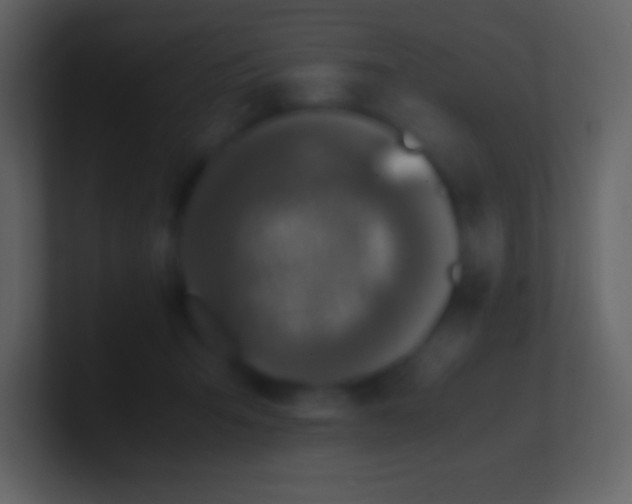 X0000100940415200807081239