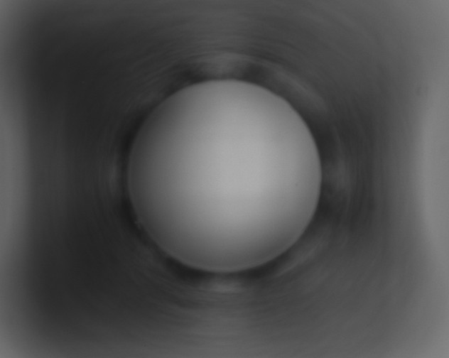 X0000100940416200807081239